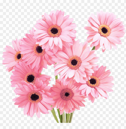  Flower Tumblr Transparent PNG Images Collection