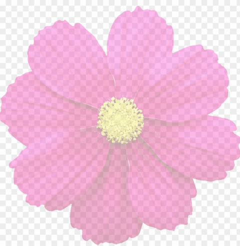 transparent flowers PNG images with clear alpha layer