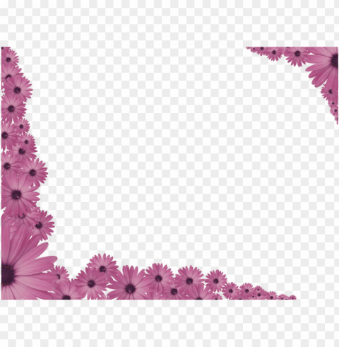  Flowers Border PNG Transparent Design