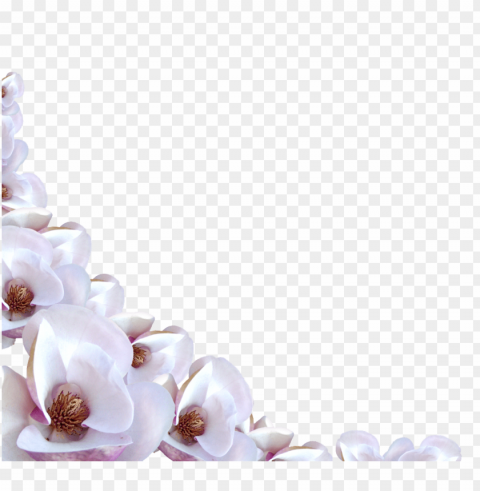  flowers border PNG transparent design diverse assortment PNG transparent with Clear Background ID c8b55638