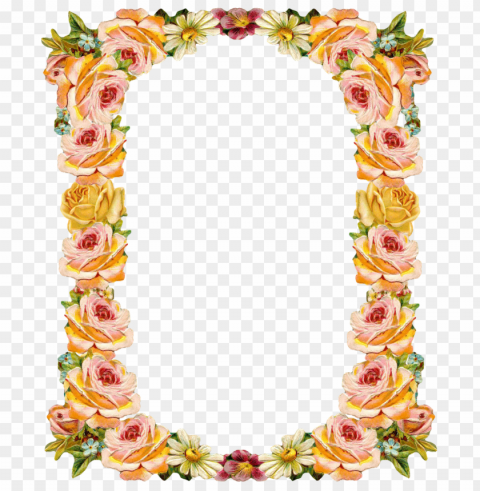  flowers border PNG transparent designs for projects