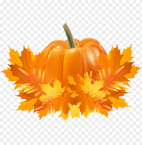 transparent library apple and pumpkin page border - clipart pumpkin fall leaves PNG without background