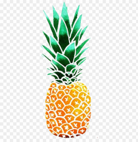 transparent pineapple tumblr - pineapple illustratio Clean Background Isolated PNG Object
