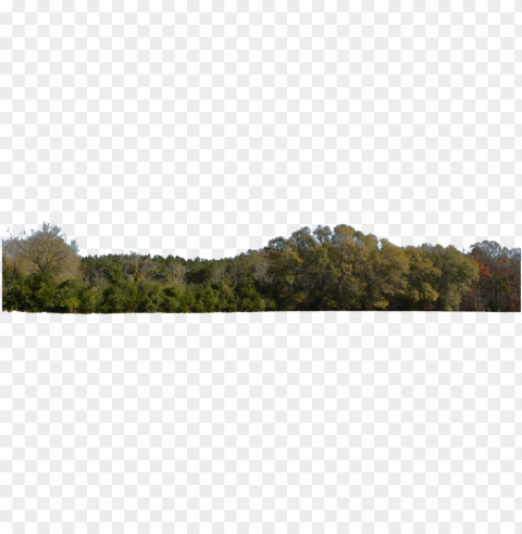 transparent stock for free download on mbtskoudsalg - hill forest PNG with Isolated Object PNG transparent with Clear Background ID 543387d1