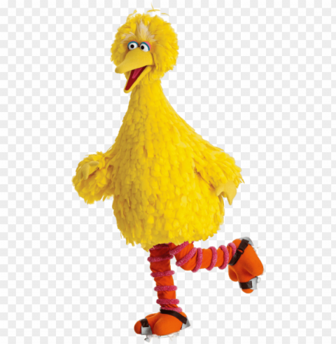 transparent stock sesame street rollerskating transparent - chicken from sesame street PNG images with clear alpha channel