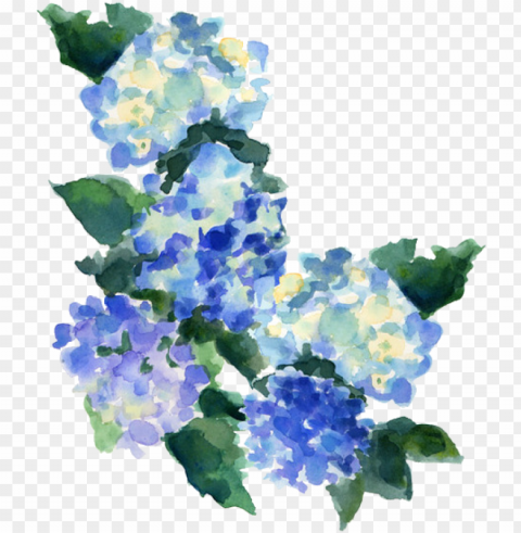 transparent transparent blog tumblr transparent transparent - blue watercolor flowers transparent Clear Background PNG with Isolation