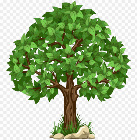  tree clipart picture - background tree clipart Isolated Item in HighQuality Transparent PNG