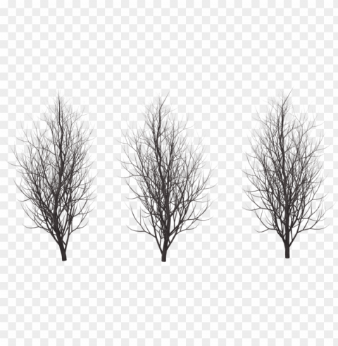  trees winter - winter tree silhouette PNG transparent images mega collection