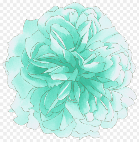  turquoise flowers PNG transparent graphics for projects