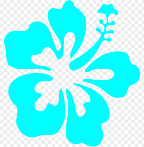  turquoise flowers PNG transparent images extensive collection