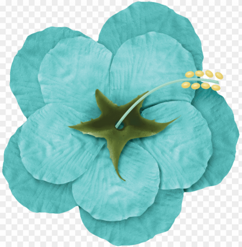  turquoise flowers PNG transparent photos comprehensive compilation