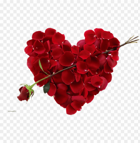 Transparent Valentine Flowers Clear PNG