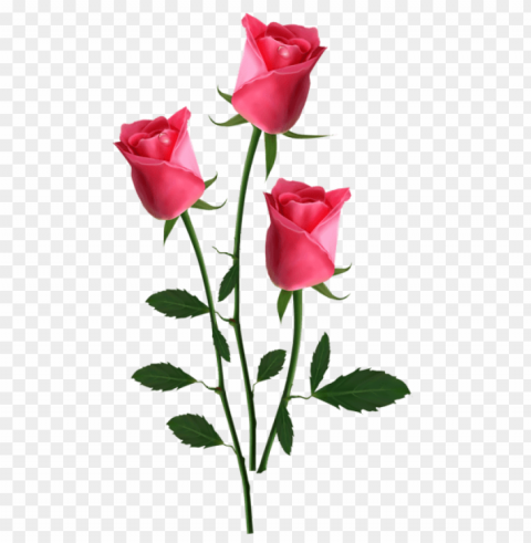 transparent valentine flowers Free PNG download PNG transparent with Clear Background ID a7e7f9fd