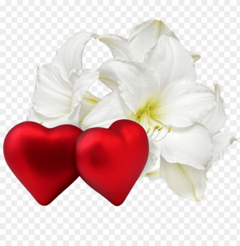 transparent valentine flowers PNG with alpha channel for download