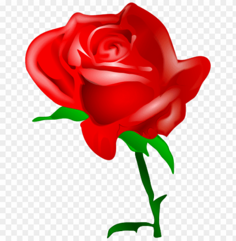 transparent valentine flowers PNG with no background for free