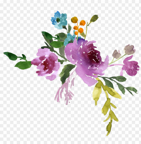 Transparent Watercolor Flowers Free PNG Images With Alpha Channel Set