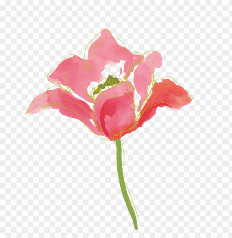  Watercolor Flowers High-resolution Transparent PNG Images Assortment