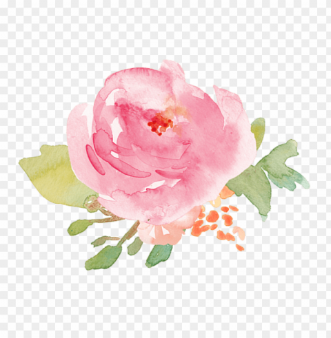 Transparent Watercolor Flowers Isolated Artwork With Clear Background In PNG