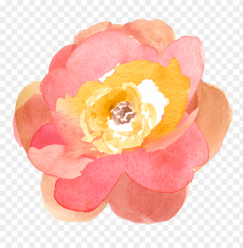  Watercolor Flowers Transparent Background Isolated PNG Figure