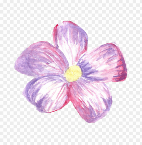  Watercolor Flowers Transparent Background Isolated PNG Item