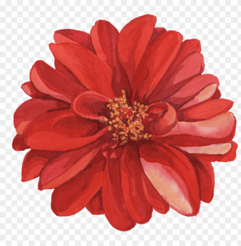  watercolor flowers Transparent background PNG gallery
