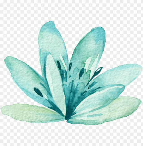 transparent watercolor mint green - blue watercolor flower PNG clipart with transparency