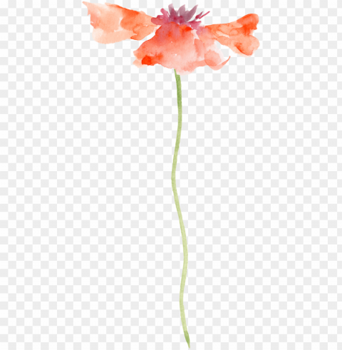 transparent watercolor painting flower PNG for business use
