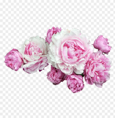 transparent white flower crown PNG for use
