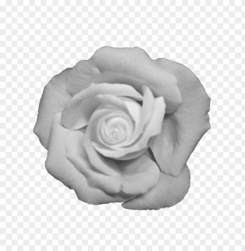 transparent white flower crown PNG Graphic with Clear Isolation