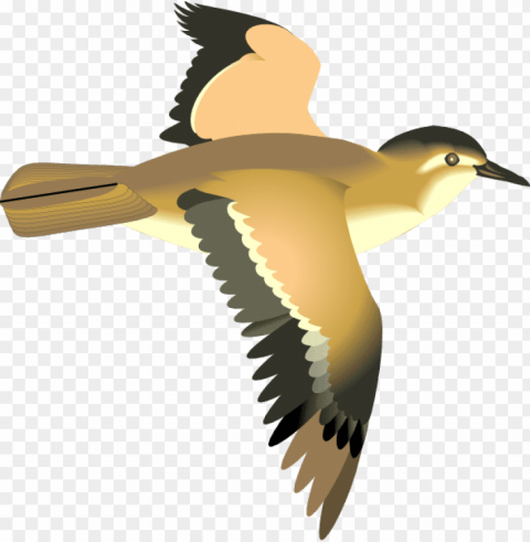 Transparentflying Bird Transparent Cutout PNG Graphic Isolation