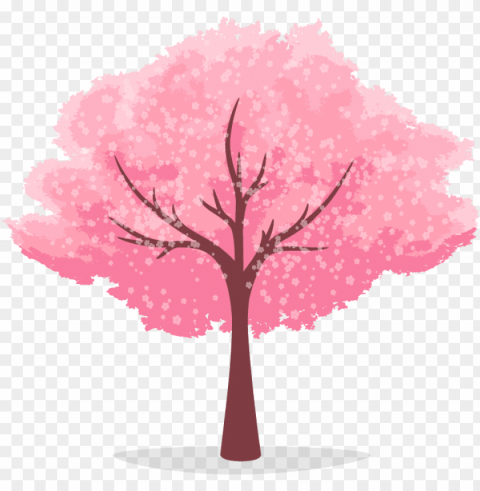 Tree - 櫻花 樹 卡通 Isolated Graphic Element In HighResolution PNG