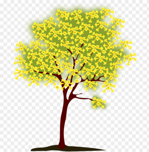 tree blossoming yellow nature spring - yellow tree clip art Clear pics PNG