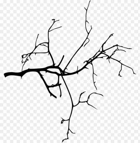 tree branches silhouette at getdrawings - tree branch hd Isolated Object in Transparent PNG Format
