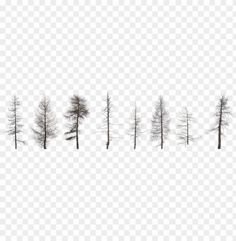 tree collection dead 2k 0 - dead forest tree PNG files with no royalties