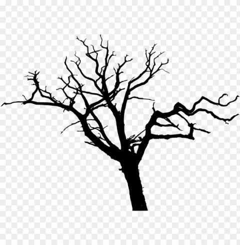 tree forest sugar maple drawing clip art - tree silhouette transparent background Free PNG images with alpha channel variety