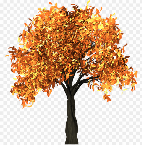 tree leaves autumn fall branches isolated nature - herbst baum transparent PNG images with cutout