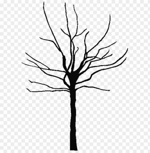 tree outline printable clipart best 143849 free coloring - transparent family tree clipart PNG for Photoshop