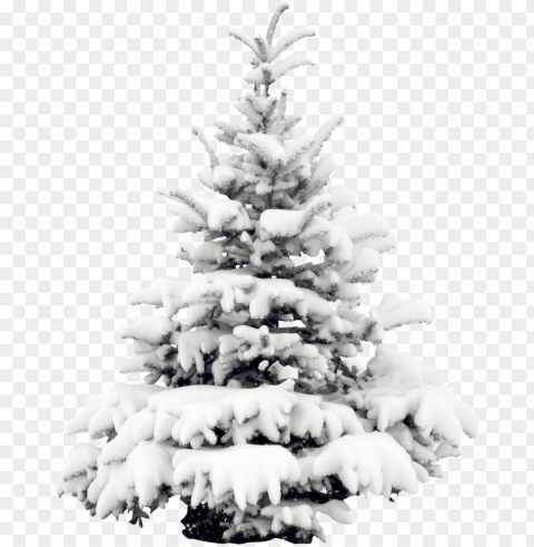 tree pine wallpaper transprent - snow pine PNG transparent elements complete package PNG transparent with Clear Background ID 28a37abb
