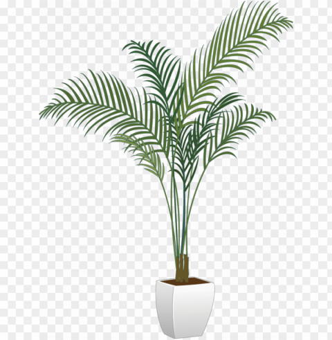tree plants & flower - potted plants Transparent PNG images bulk package
