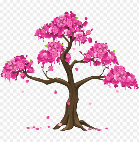 high quality tree cherry blossom tree clipart PNG transparent photos massive collection