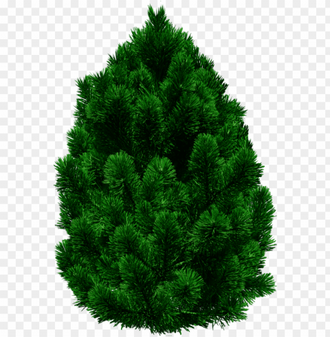 tree images tree hd free images - tree for picsart PNG Illustration Isolated on Transparent Backdrop