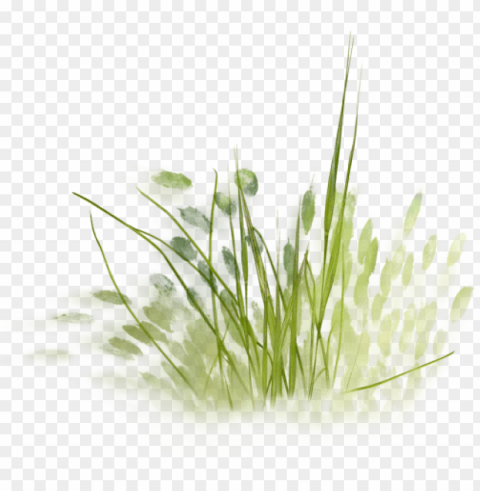 tree psd watercolor trees landscape sketch landscape - grass sketch Transparent PNG image free