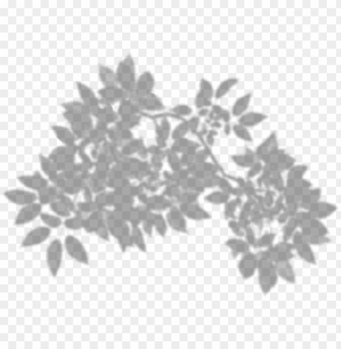 tree shadow clip art - leaf shadow Transparent PNG images for design