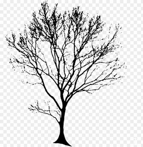 tree silhouette black - oak tree line art PNG design elements