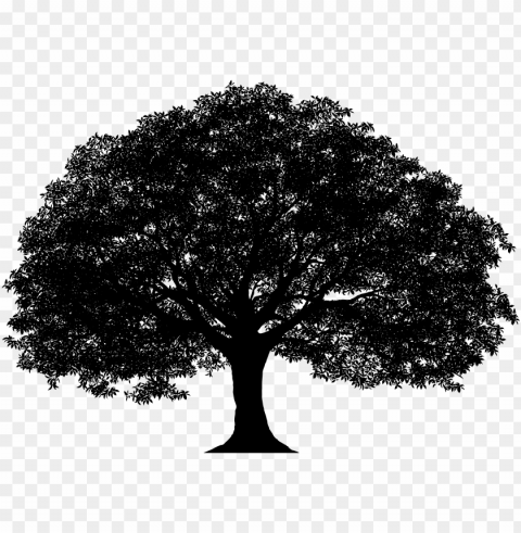 tree silhouette clip art image - tree silhouette Isolated Artwork on Clear Background PNG