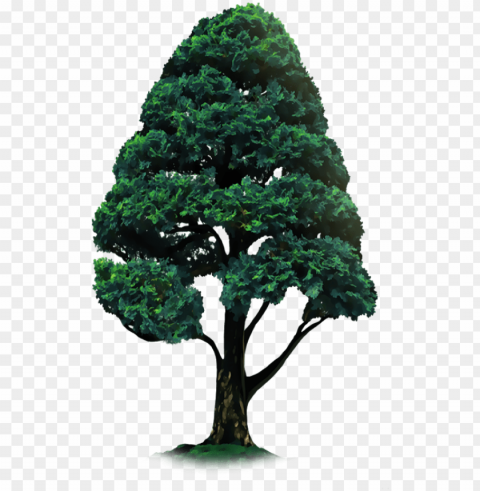 tree sticker for picsart PNG images with no background necessary PNG transparent with Clear Background ID 0c9b7b02