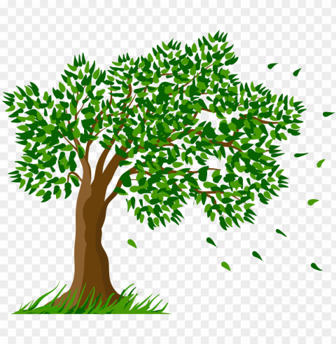 tree transparent clipart picture - transparent background tree clipart Isolated Object with Transparency in PNG