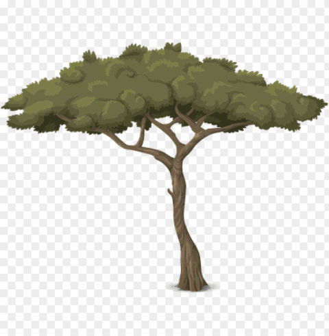 tree trunk nature leaves branches graphic - baum grafik Isolated Illustration on Transparent PNG