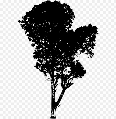 tree vector download - tree silhouette PNG Illustration Isolated on Transparent Backdrop