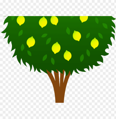 tree x carwad net - blackberry tree clip art HighQuality Transparent PNG Isolated Object